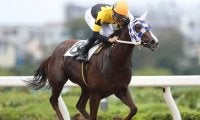 【浦和・新選特別結果】本橋孝太騎手騎乗のジョーストーリーが無傷の3連勝