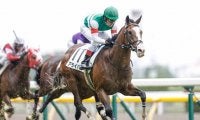 【新潟2歳S・注目馬】アライバル　デビュー戦で能力の一端を示した素質馬が重賞初制覇へ