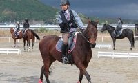 【東京パラ五輪】元JRA調教助手・宮路満英選手が馬術個人競技で7位に入賞
