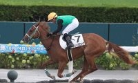 【札幌5R新馬戦結果】エスポワールシチー産駒クリノメガミエースが8馬身差圧勝