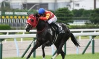 【ひまわり賞結果】熊本産馬ヒノクニが抜け出して九州産限定戦を制す