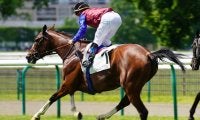 【海外競馬】昨年の凱旋門賞2着馬インスウープが障害用種牡馬に