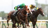 【万哲の馬場予報】淡々と流れれば、勝ち馬は「好位勢」から？