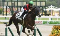 【新潟2歳S】セリフォス陣営「平坦コースのほうが競馬が楽」/ねぇさんのトレセン密着