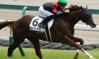 【新潟2歳S予想】世代最初のマイル重賞に素質馬が多数集結