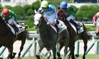 【小倉6R新馬戦結果】ホワイトターフが横綱相撲で押し切る