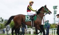 【先週のJRA抹消馬】16年毎日杯2着、ラジオNIKKEI賞3着のアーバンキッド、19年府中Sの勝ち馬ダノンキングダムなど