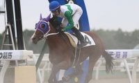 【地方競馬】トウカイテイオー最後の産駒、9月2日門別で仕切り直しの2戦目