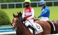 【小倉2歳S予想オッズ】新馬戦圧勝のショウナンマッハが1番人気