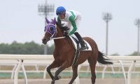 【地方競馬】最後のトウカイテイオー産駒キセキノテイオー、デビュー2戦目は最下位10着