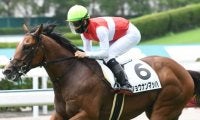 【小倉2歳S枠順確定】ショウナンマッハは3枠3番、スリーパーダは7枠7番