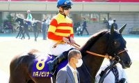 【紫苑S想定】桜花賞3着馬ファインルージュ、オークス3着馬ハギノピリナなど20頭