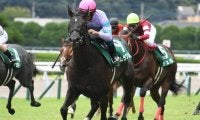【小倉2歳S結果】ナムラクレアが大外から突き抜け2馬身差完勝！ミッキーアイル産駒の連覇