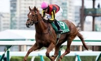 ジオグリフの勝利で父ドレフォンが2歳種牡馬ランキング首位に