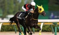 【紫苑S展望】出世につながる牝馬限定重賞、近年は先行有利に