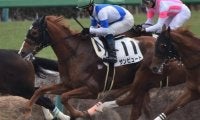 【門別競馬情報】道営記念H1と同一舞台、力勝負で豪脚発揮なるかクインズサターン！赤レンガ記念快勝リンノレジェンドの巻き返しや如何に。今季転入組サンビュート、リコーワルサーにも注目「第7回旭岳賞」/地方競馬情報