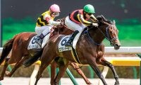 【紫苑S】出走馬・騎手確定 ファインルージュ＆福永祐一騎手、エクランドール＆C.ルメール騎手など18頭