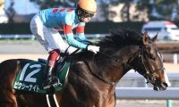 【セントウルS予想】プラス材料の多い3歳馬で人気の1頭を消し？ 勝負レースの気配漂うも評価を下げるべき理由とは!?/JRAレース展望