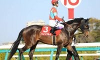 セントウルＳで狙うべき穴馬４頭。夏場も使われてきた西の馬か、条件合う東の馬か