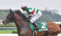 【勝負の分かれ目 京成杯AH】戸崎騎手の「決め打ち」でカテドラルが重賞初制覇