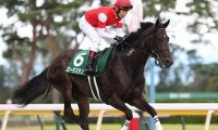 【JRA】サマーマイル王者はロータスランド、辻野師「チャンピオンに相応しい走り」