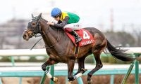 JRAは3日間開催 TRのローズSとセントライト記念に注目/今週の競馬界の見どころ