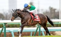 【セントライト記念想定騎手】タイトルホルダーは横山武史騎手、オーソクレースはC.ルメール騎手