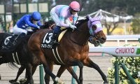 【先週のJRA抹消馬】万葉Sの勝ち馬ナムラドノヴァン、20年ダリア賞勝ち馬ブルーバード、19年伏竜S勝ち馬デアフルーグなど