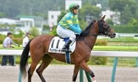 【門別競馬情報】奥手の血が開花？4連勝なるかパワースカイ。堅実フロイング、上昇うかがえるトップギアら上位候補多数で混戦模様「パンプキンタウン和寒特別」/地方競馬情報