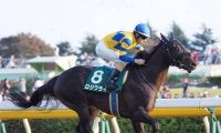 ロジクライが競走馬登録抹消