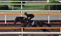 【ローズS注目馬】父ディープインパクト、母仏オークス馬 世界的良血が3冠目奪取に向けて始動