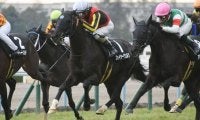 【阪神ジャンプS枠順確定】フォイヤーヴェルクは3枠3番、トゥルボーは7枠8番