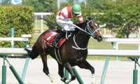 【阪神ジャンプS予想】先行力は不可欠な要素の障害重賞競走