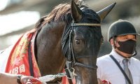 【神戸新聞杯想定】ダービー馬シャフリヤール、春二冠とも3着ステラヴェローチェなど8頭