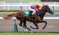 【阪神JS】トゥルボーが障害重賞2勝目