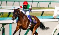 【ローズS予想】クールキャットの取り扱いがポイント オススメ穴馬は道悪をモノともしない1頭/JRA重賞レース展望
