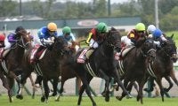 【JRA・WIN5】今週1回目のWIN5は的中1181票、配当37万8250円