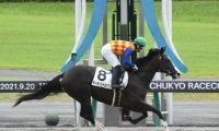 【中京4R新馬戦結果】ラブリーデイ産駒テーオーシャルマンが3馬身差で快勝