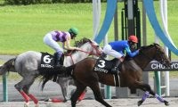 【ヤマボウシ賞結果】コンバスチョンが追い比べを制し無傷2連勝