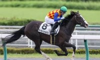 【新馬/中京4R】ラブリーデイ産駒 テーオーシャルマンがデビューV