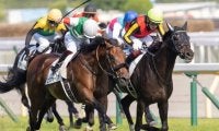 ダービー馬始動　GII神戸新聞杯とオールカマー/今週の競馬界の見どころ