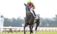 【神戸新聞杯】出馬確定　シャフリヤール＆福永祐一、ステラヴェローチェ＆吉田隼人など10頭