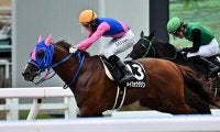 【船橋・日本テレビ盃】メイショウダジンの鞍上は幸英明騎手　JRA所属の選定馬が更新