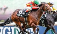 【神戸新聞杯注目馬】キングストンボーイ始動戦　名伯楽と最後の秋へ