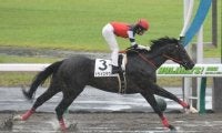  【中京4R新馬戦結果】ドライスタウトが快勝、福永祐一騎手は2500勝達成