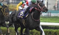 【日本テレビ盃・馬体重】クリソベリルは546kg(-8)、ダノンファラオは537kg(+3)