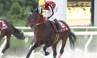 【園田・姫山菊花賞結果】ジンギが断然人気に応えて重賞7勝目