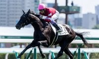 【ききょうS】4.7億円の高額馬ドーブネ　吉田隼人騎手「古馬みたいな落ち着きがあります」