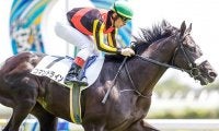 【サウジアラビアRC想定】新馬勝ちのコマンドライン、ウナギノボリなど8頭