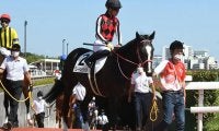 【JRA】内ラチ衝突のグレートキャンベラは左前肢挫創、川田将雅騎手は異状なし